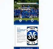 Kleine Seitenvorschau von svenkenbach.de