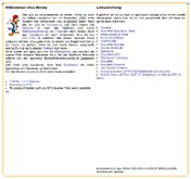 Kleine Seitenvorschau von woody.ch
