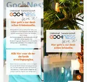 Kleine Seitenvorschau von gochness.de