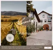 Kleine Seitenvorschau von lucashof.de