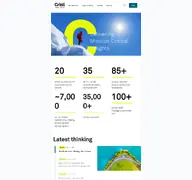 Kleine Seitenvorschau von crisil.com
