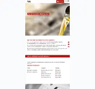 Kleine Seitenvorschau von eggers-oel.de