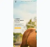 Kleine Seitenvorschau von wanderreiten-auf-ruegen.de