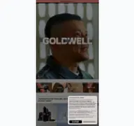 Kleine Seitenvorschau von goldwell.de