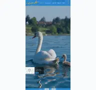 Kleine Seitenvorschau von gstadt.de