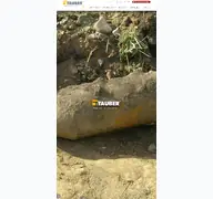 Kleine Seitenvorschau von munition.de