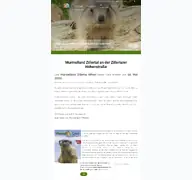 Kleine Seitenvorschau von murmelland-zillertal.at