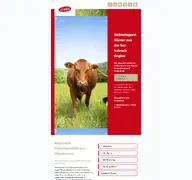 Kleine Seitenvorschau von metzgerei-stirner.de