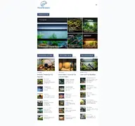 Kleine Seitenvorschau von cleverterrarium.de