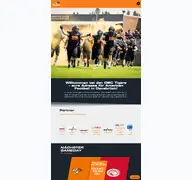 Kleine Seitenvorschau von gotigers.de
