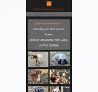 Kleine Seitenvorschau von setter-rescue.de