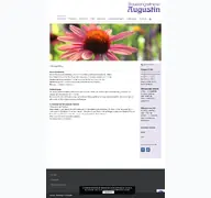 Kleine Seitenvorschau von stauden-augustin.de