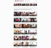 Kleine Seitenvorschau von videosdemadurasx.com
