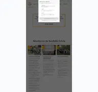 Kleine Seitenvorschau von sfst.de