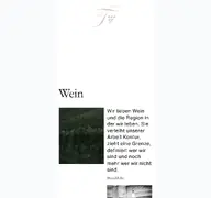 Kleine Seitenvorschau von tement.at