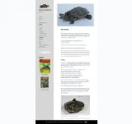 Kleine Seitenvorschau von graptemys.de