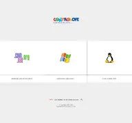 Kleine Seitenvorschau von controloye.com