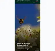 Kleine Seitenvorschau von brueggenwirth.de