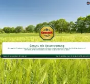Kleine Seitenvorschau von greizer.de