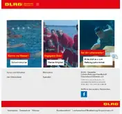 Kleine Seitenvorschau von schwerin.dlrg.de