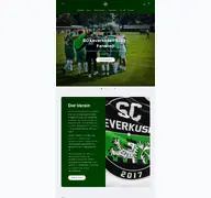 Kleine Seitenvorschau von scleverkusen.de