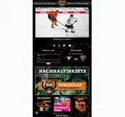 Kleine Seitenvorschau von grizzlys.de