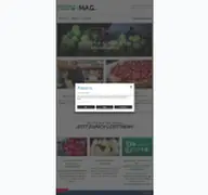 Kleine Seitenvorschau von grossmarkt-magazin.de