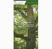 Kleine Seitenvorschau von garten-kalb.de