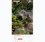 Kleine Seitenvorschau von zoo.ch