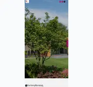 Kleine Seitenvorschau von gruetters-gruen.de