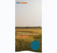 Kleine Seitenvorschau von pausenwiese.de