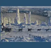 Kleine Seitenvorschau von mayer-lieder.de