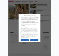 Kleine Seitenvorschau von heiraten-magazin.de