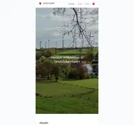 Kleine Seitenvorschau von grundsteinheim.de