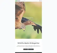Seitenvorschau von wildlife-media.at