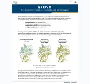 Kleine Seitenvorschau von gruvo.bgr.de