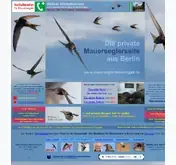 Kleine Seitenvorschau von mauersegler.klausroggel.de