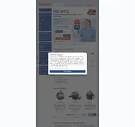 Kleine Seitenvorschau von dslweb.de