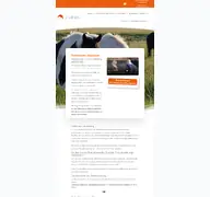 Kleine Seitenvorschau von steinhauser-akademie.de