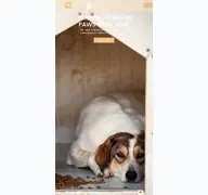 Kleine Seitenvorschau von paws-with-love.at
