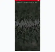 Kleine Seitenvorschau von sc-egloffstein.de
