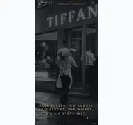 Kleine Seitenvorschau von tiffany-friedrichshafen.de