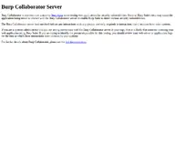 Kleine Seitenvorschau von burpcollaborator.net