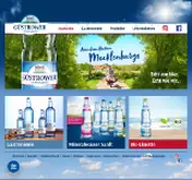 Kleine Seitenvorschau von guestrower.de