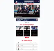 Kleine Seitenvorschau von icetigers.de