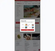 Kleine Seitenvorschau von shop.profimiet.de