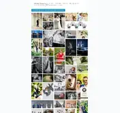 Kleine Seitenvorschau von michael-fotografiert.fotograf.de