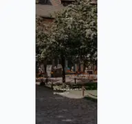 Kleine Seitenvorschau von gutshof-ladenburg.de