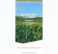 Kleine Seitenvorschau von gutsschenkezurscheune.de