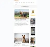 Kleine Seitenvorschau von yorkshire.de